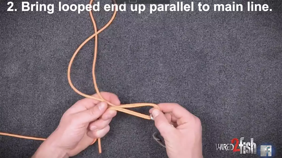 step 2 of tying the 3-tag knot