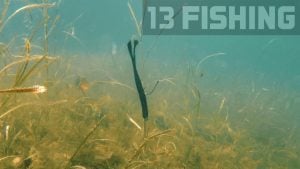 13 Fishing 13×13 Giveaway Winners