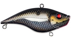 Berkley Warpig Lipless Crankbait Review