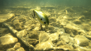 13 Fishing Jabber Jaw Squarebill Giveaway Winners