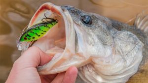 Luhr Jensen Speed Trap Review