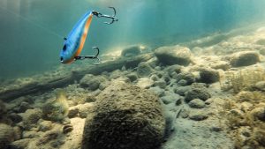 2 Overlooked Lipless Crankbait Uses for Fall Bass