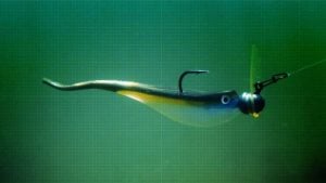 Jenko Tremor Shad & Tremor Head | What it Looks Like Underwater