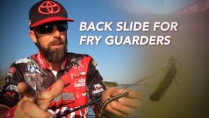 Use a French Fry Rig for Fry Guarding Bass