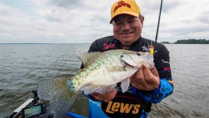 How to Vertical Fish Big Crappie on Brush Piles