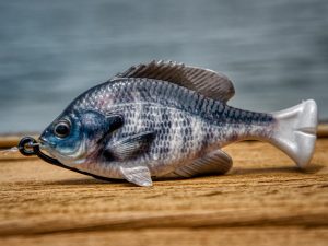 Savage Gear Pulse Tail LB Bluegill Swimbait Review