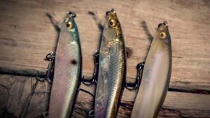 3 Jerkbait Color Selection Guidelines That Produce