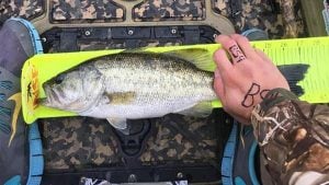 Alleged Cheater Charged in Kayak Fishing Tournament