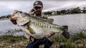 Angler Catches Bass of a Lifetime from the Bank