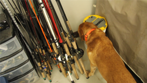How to Efficiently Store, Organize and Protect Your Fishing Rods