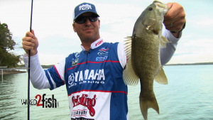 Walking Topwater Lures for Fall Bass