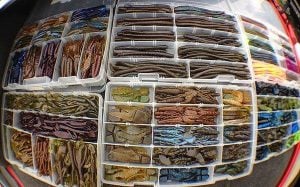 Fishing Plastics Manufacturers Win Consent Judgement