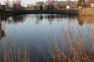 Fish Standout Lake Features on Small Waters