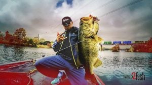 Big Swimbait Selection for Big Bass with Oliver Ngy: VIDEO