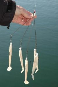 Indiana Reverts Back to 2 Hooks on A-Rigs