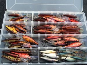 Springtime Crankbait Selection: What’s the Right Size?