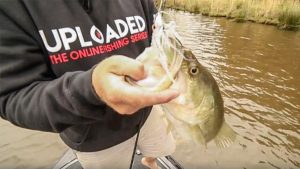 UPLOADED: April Open Pres. by Fitzgerald Rods