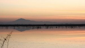 California Delta Water Fight Escalates