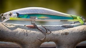 Rapala RipStop Jerkbait Review