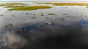 How to Swim Worms for Springtime Bass
