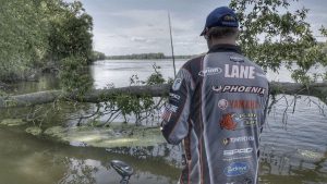 How to Fish Laydowns for Bass in River Current