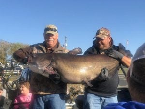 Man Breaks Kentucky Blue Catfish State Record
