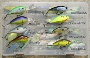 8 Deep Diving Crankbaits for 2010