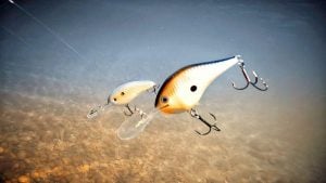 Balsa vs. Plastic Crankbait Rise Rates Underwater
