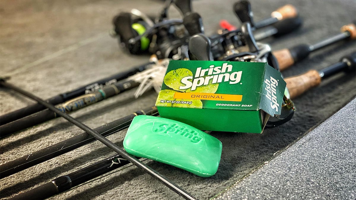 Critters hate Irish Spring soap