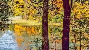 State Closes State-Owned Fisheries, Wildlife Areas and Parks