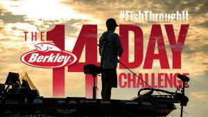 Berkley Launches 14-Day Challenge
