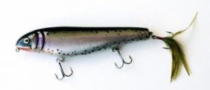 Beware of the Black Dog