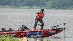 SPRO Bronzeye Frog: 15 Years of History with Rojas
