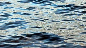Body of Missing Angler Recovered on North Santee River