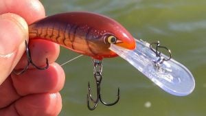 Rapala Shad Dancer Review