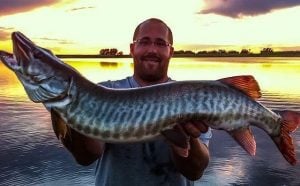 Stock a Fish; Grow a Record