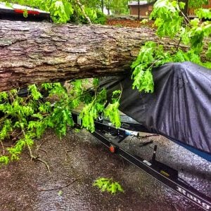 Tree Falls on FLW Tour Angler’s Boat