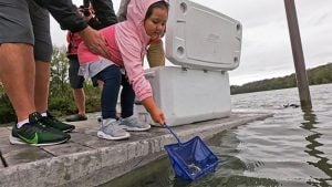 Tennessee Aquarium, Partners Have Now Released 250,000 Lake Sturgeon