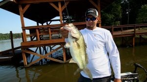 Late Summer Dock Fishing