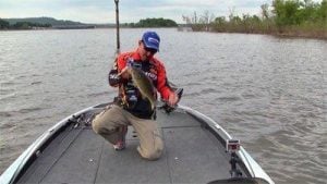 Fishing Jerkbaits During Spawn