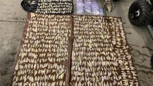 Two Men Charged with Having 750 Fish Over Limit