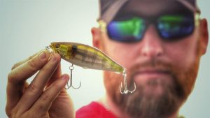 How to Fish Wakebaits in Shallow Water