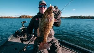 Unique Swimbait Fishing for Deep Water Bass