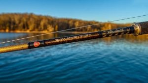 Favorite Rush Casting Rod Review