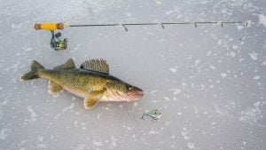Find Your Best Ice Fishing Spots in the Fall
