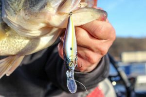 Evers Shares Details on Megabass Flap Slap