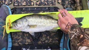 Fishing Tournament Cheater Sentenced