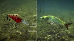 Livingston Lures | What it Looks and Sounds Like Underwater