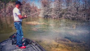 Determine the Bass Spawn Using Nature’s Cues
