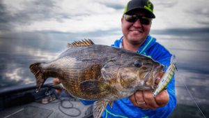 How to Target Shallow Water Bass and Walleye With Jerkbaits